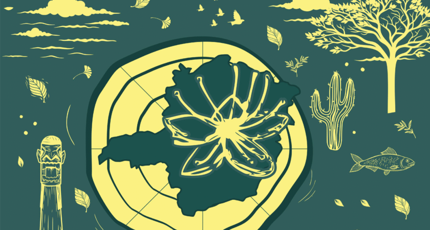 Atlas geográfico escolar de Minas Gerais