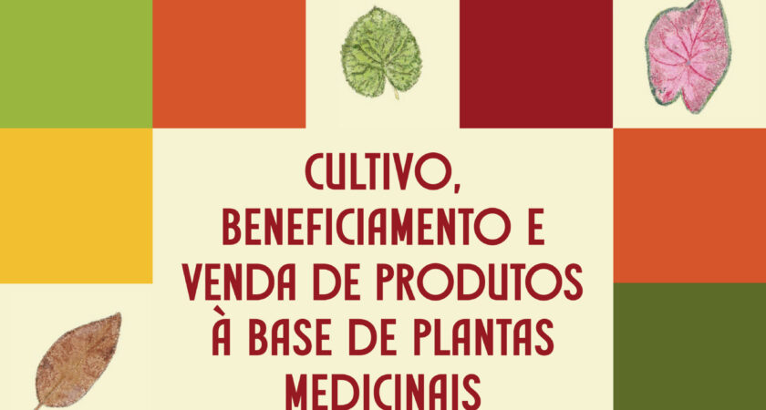 Cultivo, beneficiamento e venda de produtos à base de plantas medicinais