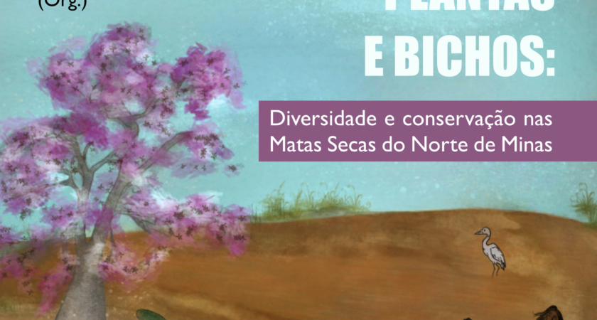 De gentes, plantas e bichos: diversidade e conservação nas Matas Secas do norte de Minas