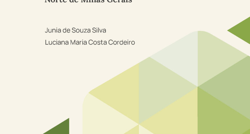 Sustentabilidade fiscal da dívida pública: Municípios da região intermediária do Norte de Minas Gerais
